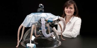 Robotica, il premio Carla Fendi a Cecilia Laschi