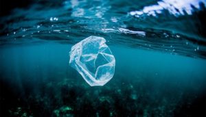 eliminare la plastica dal mare con una foto