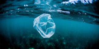 eliminare la plastica dal mare con una foto