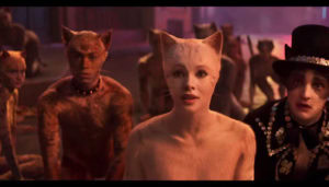 cats