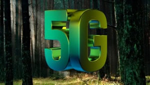 5G problemi per il verde comune, paura per il disboscamento