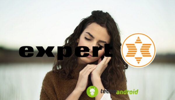 Expert