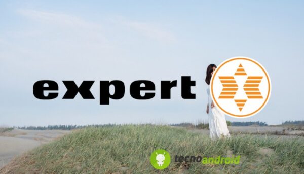 Expert