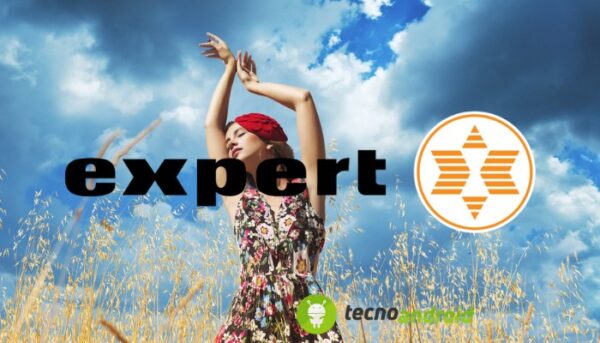Expert