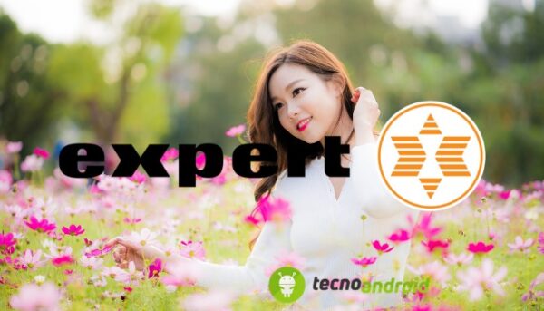 Expert