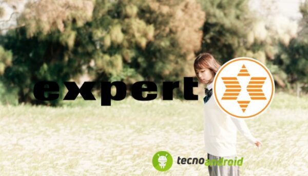 expert