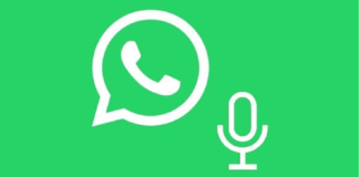 Whatsapp note vocali offline spunte blu