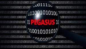 pegasus malware whatsapp