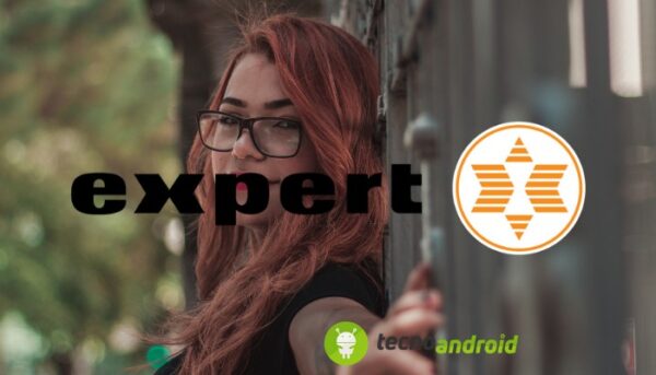 Expert