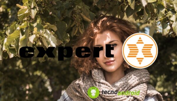Expert
