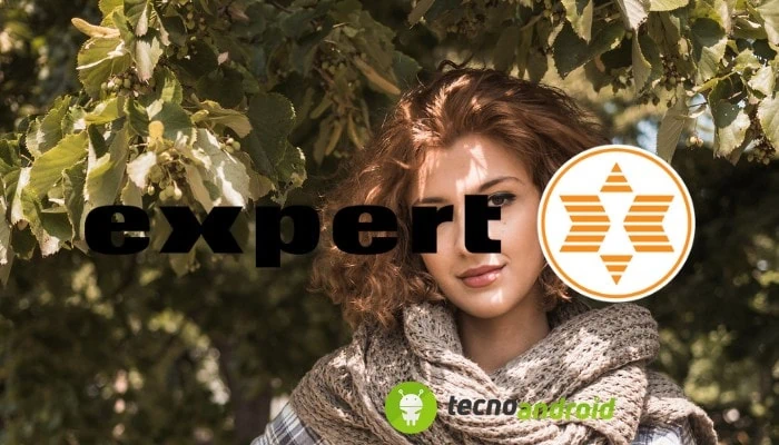 Expert