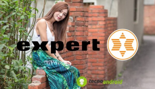 Expert