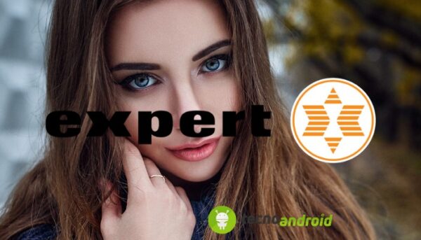 Expert