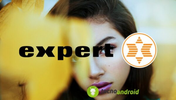 Expert