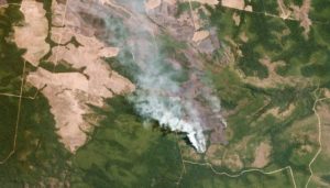 incendio-amazzonia-brasile-ambiente-apple-tim-cook