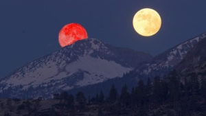 marte grande come luna