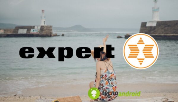 Expert