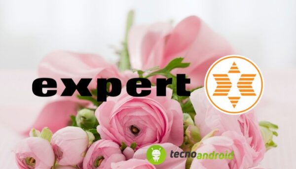 expert