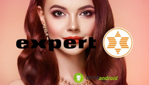 Expert