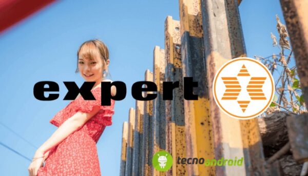 expert