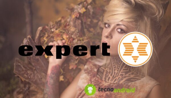 Expert