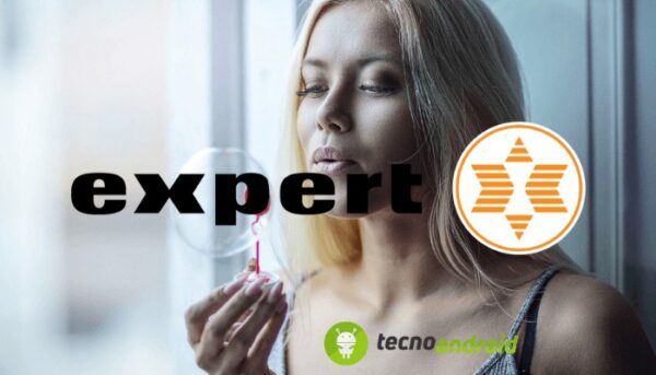 Expert