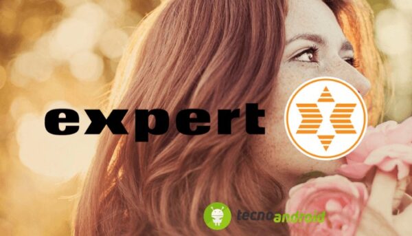 Expert