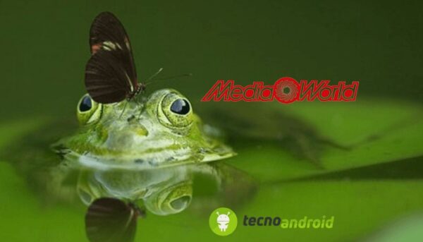 MediaWorld