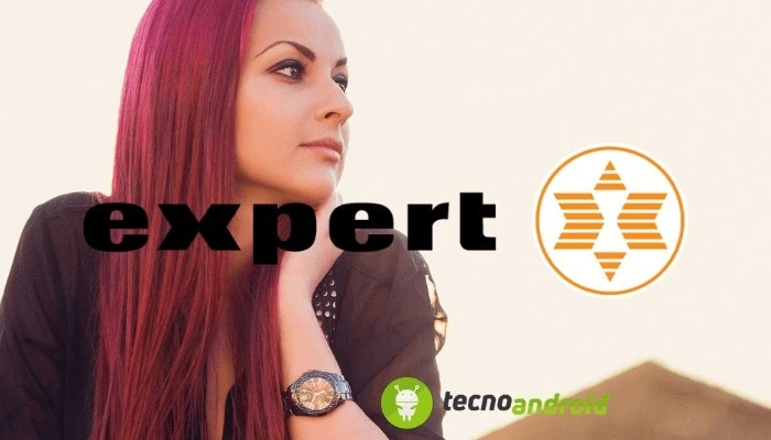 Expert