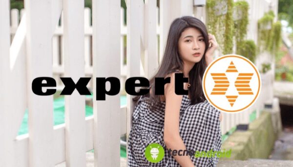 Expert