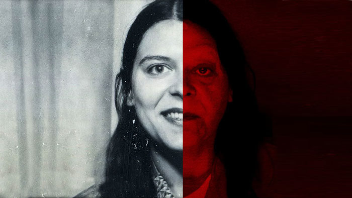 inside netflix evil genius