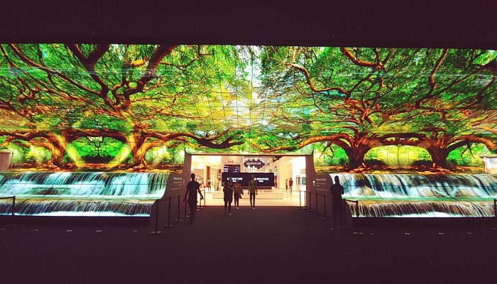 OLED Falls 3 OLED Falls