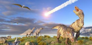 asteroide estinzione dinosauri