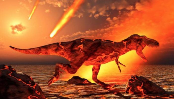 estinzione dinosauri
