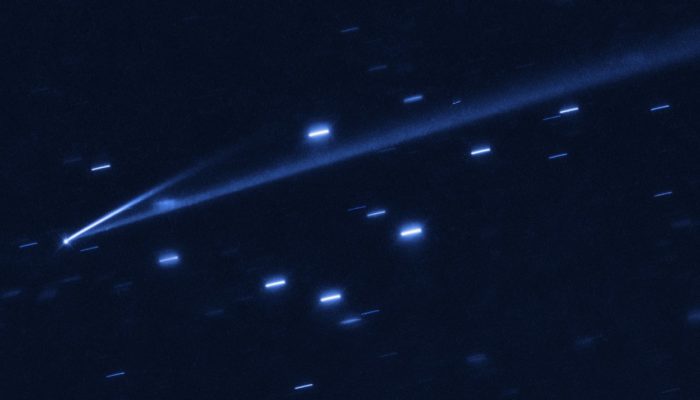 asteroide gault