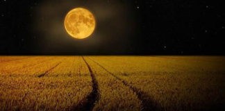 luna piena del raccolto