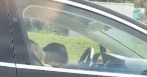 tesla autopilot guidatore addormentato