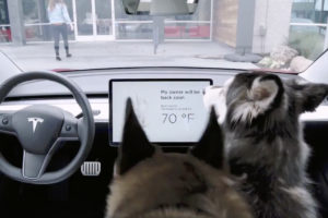 tesla dog mode