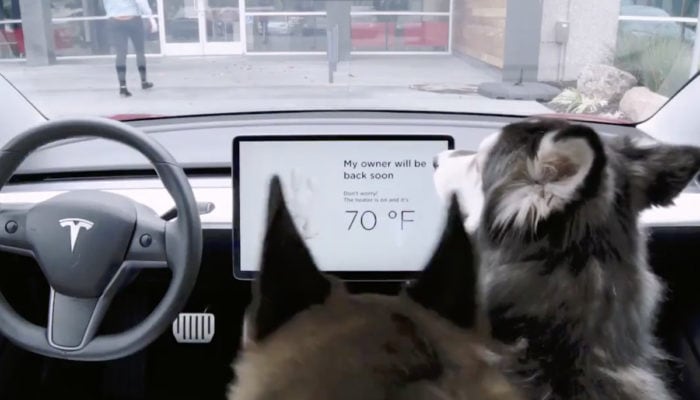 tesla dog mode