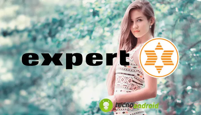 Expert