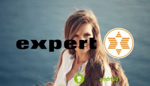Expert