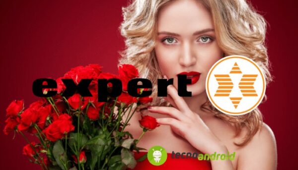 Expert