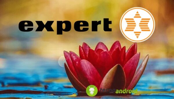 Expert