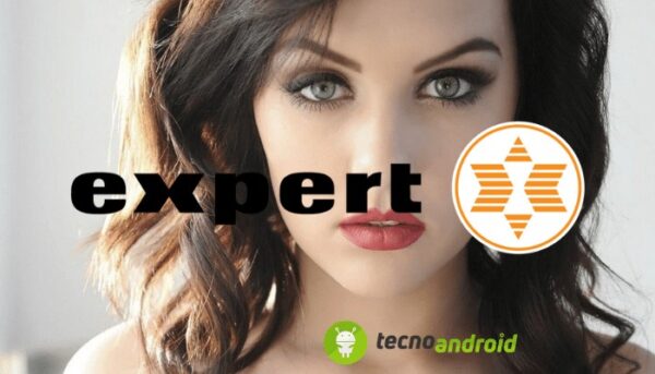 Expert