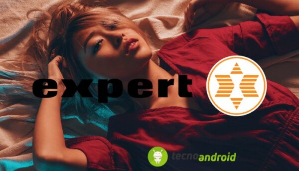 Expert