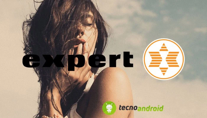 Expert