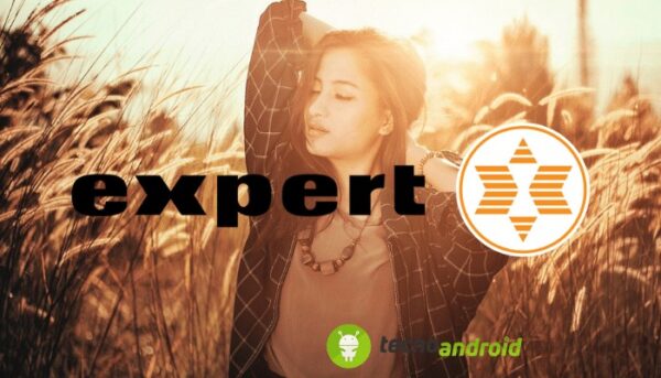 expert