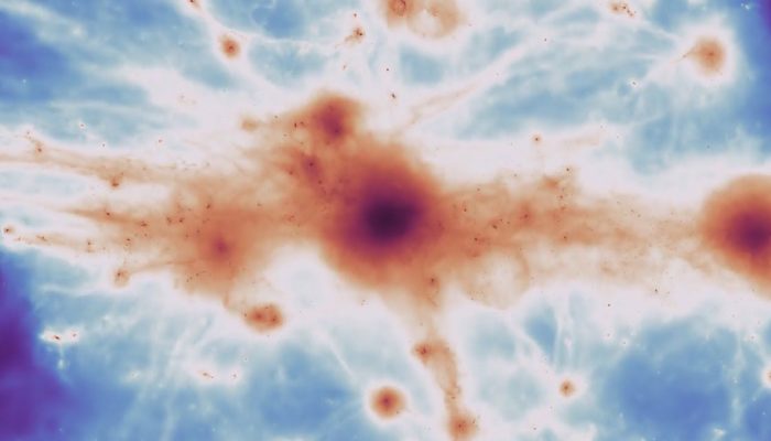 ragnatela cosmica filamenti universo