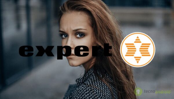 expert
