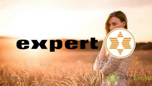 expert